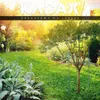 KADAX ocelová podpěra pro rostliny "Asta", pomůcka pro Náhled obrázku produktu 6