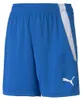 PUMA Unisex Kinder Teamliga Jr Shorts, Electric Blue Produktbild-Vorschau 7
