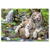 Educa Puzzle.  Bengal White Tigers 1000 Teile Produktbild-Vorschau 3