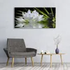 Glasbilder 120x60 Wandbild Druck auf Glas Blume Steine Produktbild-Vorschau 3
