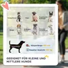 PawHut hondenwagen, hondenbuggy met kussen, inklapbare Productafbeelding-voorbeeld 4