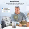 eWelink WiFi Smart Digital LCD Room Thermostat Termostat do Podgląd zdjęcia produktu 4