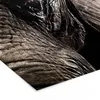 MuchoWow® MuchoWow® Gerahmtes Poster Elefant - Tiere - Produktbild-Vorschau 7