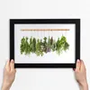 Bild 30x20 MDF-Rahmen, Wandkunst Kräuter auf einer Schnur Produktbild-Vorschau 3