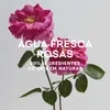 Adolfo Dominguez Agua Fresca De Rosas Eau De Toilette Spray Anteprima dell’immagine prodotto 4