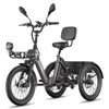 E Trike mit Unterstützung, 180 kg Zuladung, 100 km Produktbild-Vorschau 1