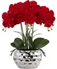 Umělá orchidej Phalaenopsis, výška 44 cm, červená, v Náhled obrázku produktu 1
