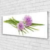 Acrylglasbilder 125x50 Wandbild Druck Blumen Pflanzen Produktbild-Vorschau 2