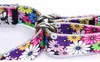 Martingale obojek pro psy, nylon, nastavitelný, velikost M, Náhled obrázku produktu 4