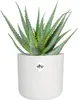 elho b.for Soft Rund 35cm Übertopf - weiss Produktbild-Vorschau 10