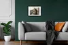 MuchoWow® MuchoWow® Gerahmtes Poster Katze - Wasserhahn - Produktbild-Vorschau 8