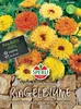 SPERLI Ringelblumensamen Viva 80 Pflanzen Produktbild-Vorschau 3