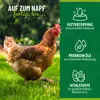 HÜHNER Land Geflügel Futteröl 500ml – Futterergänzung, Produktbild-Vorschau 2