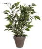 Kunstpflanze Birkenfeige Ficus natasja Ø 30 H 40 cm Produktbild-Vorschau 1