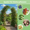 MIAJARD Rosenbogen Rankhilfe Kletterhilfe Metall Produktbild-Vorschau 3