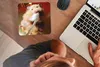 MuchoWow® Mauspad Mousepad Hamster beim Zähneputzen 20x20 Produktbild-Vorschau 3