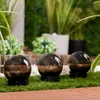 6x Lampa Solarna Ogrodowa LED 3000K IP44 10cm Wbijana Podgląd zdjęcia produktu 10