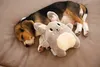 Beeztees Puppy Snoet - Hund Spielzeug - grau - 25x20x7,5 cm Produktbild-Vorschau 4