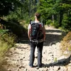 A person is hiking on a rocky path in a forest. Anteprima dell’immagine prodotto