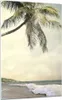 Bilder auf glas - Einteilig - Palme Strand Insel - 70x100cm Produktbild-Vorschau 1