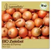 Samenliebe  Zwiebel Samen | Dorata di Parma - gelbe & süß Produktbild-Vorschau 1