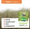 Rasen Nachsaat 1kg Produktbild-Vorschau 2