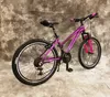 24 Zoll ALU MÄDCHEN MTB MIRAGE VON UMIT, Gefedert mit Produktbild-Vorschau 2