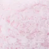 Schachenmayr Baby Smiles Lenja Soft 25g Rosa 01035 Anteprima dell’immagine prodotto 1