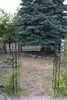 GardenAndPools Rosenbogen HOLLAND Lilie-Spitze Produktbild-Vorschau 5