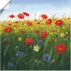 ARTland Poster Mohnblumen Landschaft I Größe: 50x50 cm Produktbild-Vorschau 1