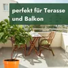 Meine Orangerie - Zwergobst Stämmchen Aprikose - Produktbild-Vorschau 7