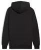 Puma BVB Borussia Dortmund Hoodie für Herren Fanartikel Produktbild-Vorschau