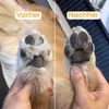 Hundeschermaschine mit USB 2 abnehmbaren Koepfen und 1 Fue Produktbild-Vorschau 3