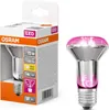 La lampada per piante OSRAM LED Star con filamento e base Anteprima dell’immagine prodotto 4