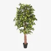 HOMESCAPES Kunstbaum Ficus Benjamini grün 180 cm Produktbild-Vorschau 1