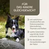 PROVICELL para-W-Vital | Natürliche Kräuter für Hunde, ohne Produktbild-Vorschau 2