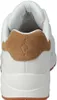 Sneakers Del Marchio Skechers Del Modello Uno - Suited On Anteprima dell’immagine prodotto 45