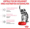 Royal Canin Kitten Sterilised 400gr Produktbild-Vorschau 5