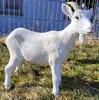 Ziege Ziegenfigur Tierfigur groß 48cm Tier Garten Bauernhof Produktbild-Vorschau 3
