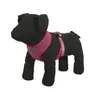 Rukka Pets Hundegeschirr "Comfort Air Harness" pink, Größe: Produktbild-Vorschau 5