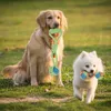 Hundespielzeug Set, 6 Stück Hundespielzeug Kleine Hunde, Produktbild-Vorschau 5