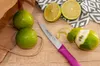 ARCOS Nova, Peeling knife, 10 cm, Nerezová ocel, 1 kusů Náhled obrázku produktu 7