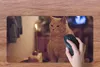 MuchoWow® Mauspad Mousepad Katze - Geburtstag - Kerze 60x30 Produktbild-Vorschau 3