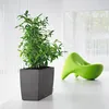 LECHUZA Vase à plantes CARARO Premium Anthracite Métallisé Voir les images du produit 4