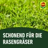 COMPO Rasenunkraut-Vernichter Banvel Quattro, Bekämpfung Produktbild-Vorschau 8