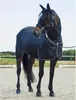 Eskadron MESH Fliegenmaske navy Platinum PURE FS 23, Produktbild-Vorschau 2