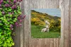 MuchoWow® 100x100 cm Outdoor-Poster Gartendeko Sichtschutz Produktbild-Vorschau 5