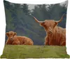 MuchoWow® Outdoor Kissen - Schottische Hochlandrind - Gras Produktbild-Vorschau 6