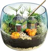 Clementoni Clementoni Harry Potter - Terrarium 19248 Voir les images du produit 12