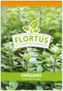 Oregano (100 Tütchen) | Oreganosamen von FLORTUS Produktbild-Vorschau 3